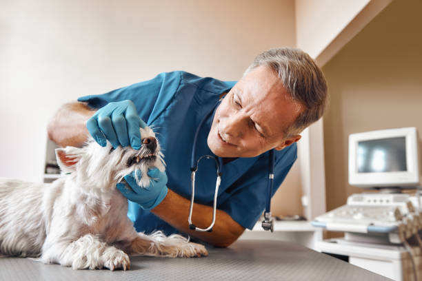 Best Dental Abscess Treatment in Jasper, TN